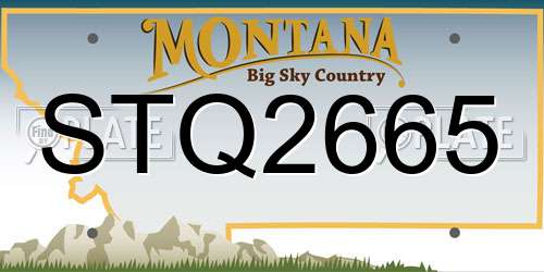 STQ2665 Montana License Plate
