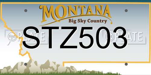 STZ503 Montana License Plate