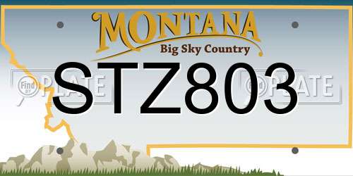 STZ803 Montana License Plate