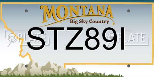 STZ89I Montana License Plate