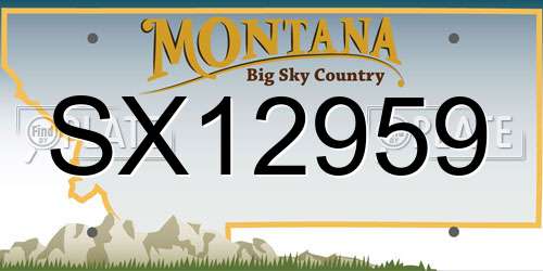 SX12959 Montana License Plate