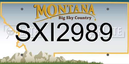 SXI2989 Montana License Plate