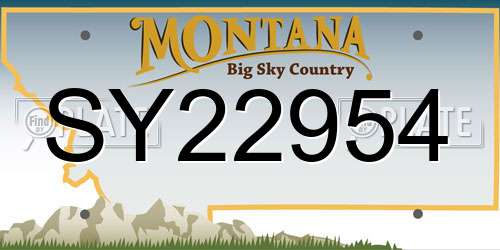 SY22954 Montana License Plate