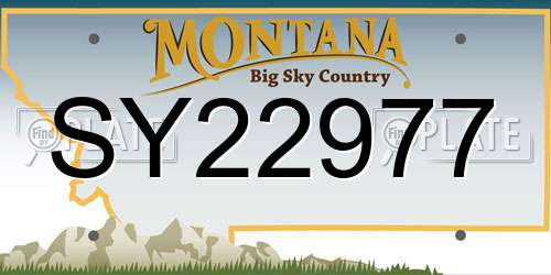 SY22977 Montana License Plate