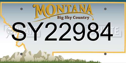 SY22984 Montana License Plate