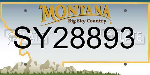SY28893 Montana License Plate