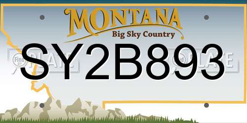 SY2B893 Montana License Plate