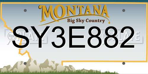 SY3E882 Montana License Plate