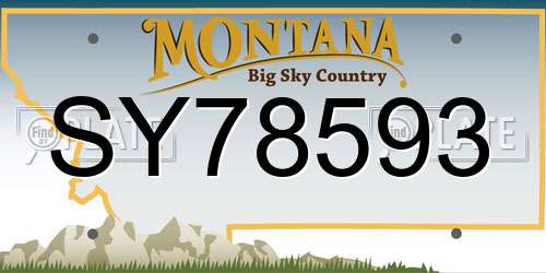 SY78593 Montana License Plate