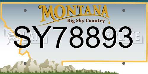 SY78893 Montana License Plate