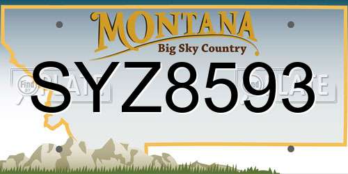 SYZ8593 Montana License Plate