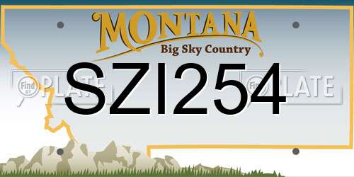 SZI254 Montana License Plate