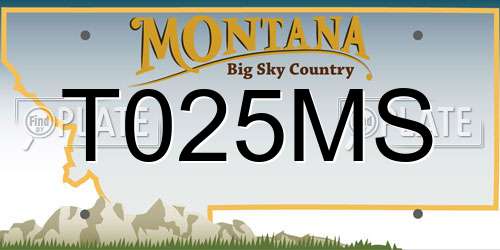 T025MS Montana License Plate