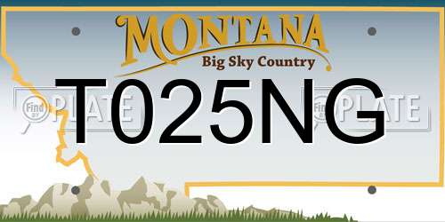 T025NG Montana License Plate
