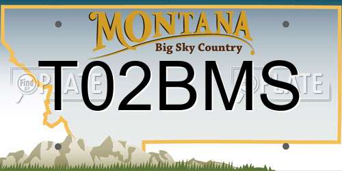 T02BMS Montana License Plate