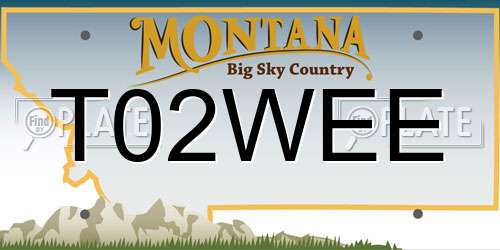 T02WEE Montana License Plate