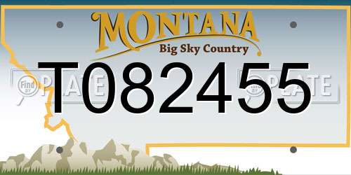T082455 Montana License Plate