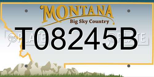 T08245B Montana License Plate