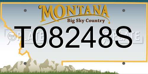 T08248S Montana License Plate