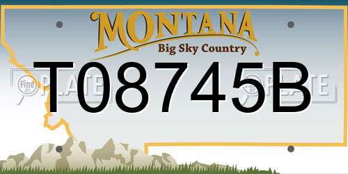 T08745B Montana License Plate