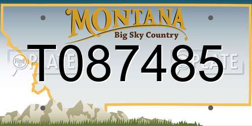 T087485 Montana License Plate