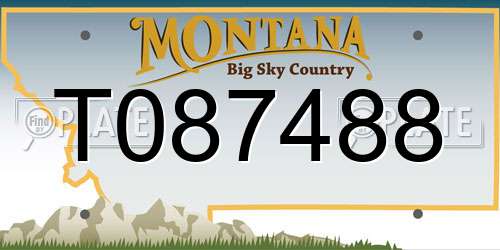 T087488 Montana License Plate