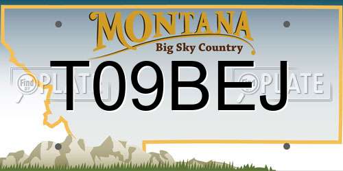 T09BEJ Montana License Plate