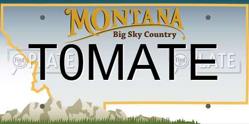 T0MATE Montana License Plate