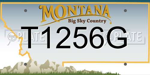 T1256G Montana License Plate