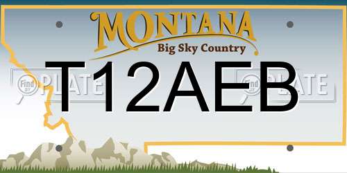 T12AEB Montana License Plate