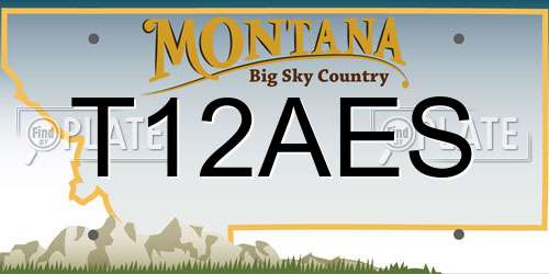 T12AES Montana License Plate