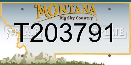 T203791 Montana License Plate