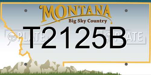 T2125B Montana License Plate