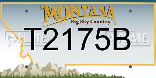 T2175B Montana License Plate