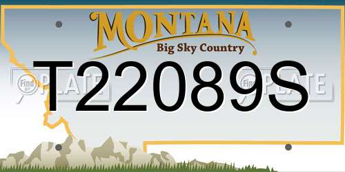 T22089S Montana License Plate