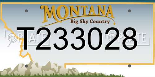 T233028 Montana License Plate