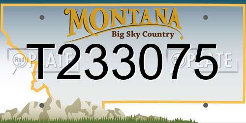 T233075 Montana License Plate