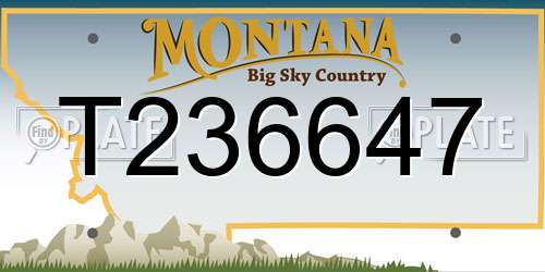 T236647 Montana License Plate