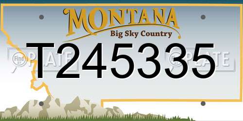 T245335 Montana License Plate