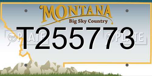 T255773 Montana License Plate