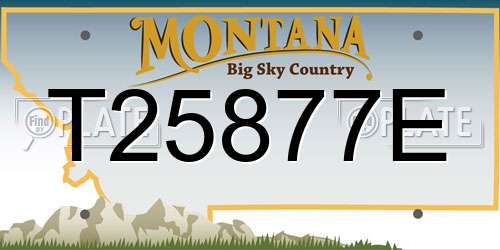 T25877E Montana License Plate