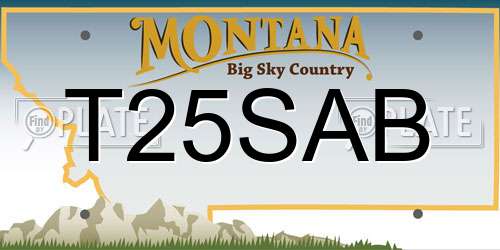T25SAB Montana License Plate