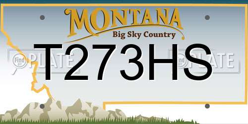 T273HS Montana License Plate