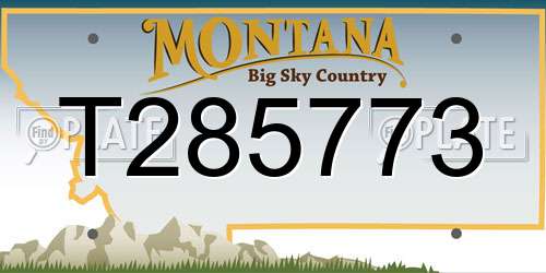 T285773 Montana License Plate