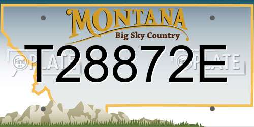 T28872E Montana License Plate