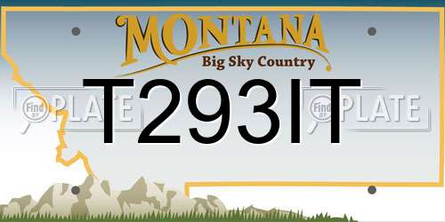 T293IT Montana License Plate
