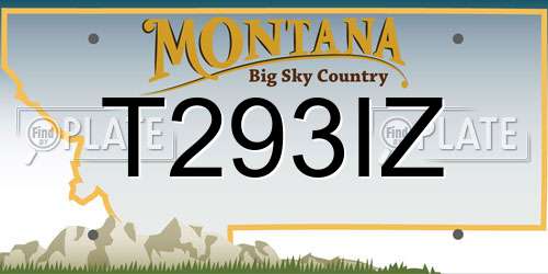 T293IZ Montana License Plate