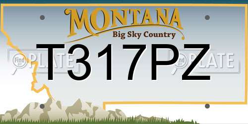 T317PZ Montana License Plate