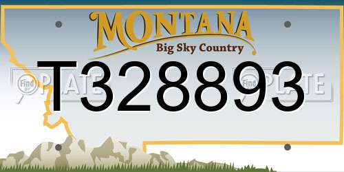 T328893 Montana License Plate