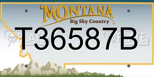 T36587B Montana License Plate